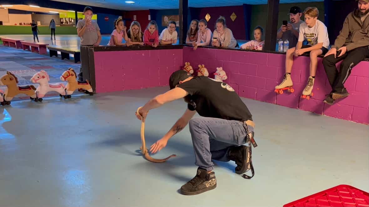 Joey demostrating Lilith the cobra.